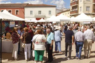 Feria hortícola en Lumbrales