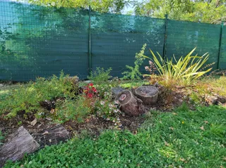 El ‘Jardín de las cuatro estaciones’ 6