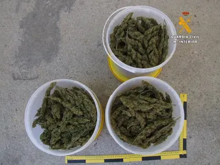 01 04 2019 DROGA FUENTES OÑORO