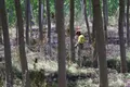 Incendio en Valverdón el pasado mes de mayo