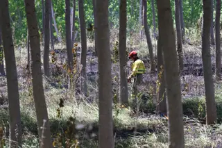 Incendio en Valverdón el pasado mes de mayo