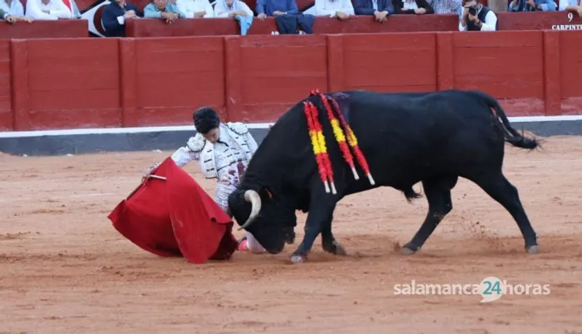 Corrida mixta del Capea: momentos más destacados del segundo festejo de abono de la Feria Taurina Virgen de la Vega 2014. Fotos Andrea M.