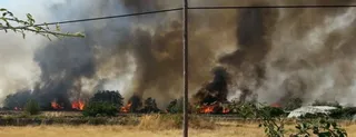 Aprobada la prórroga del seguro colectivo de accidentes para el personal contra incendios forestales