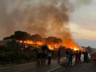 Incendio Forestal, término de Morasverdes, viernes 15 de julio de 2022 S24H (4)
