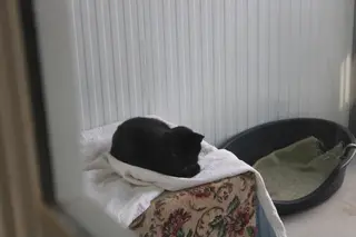 Refugio de animales del Ayuntamiento de Salamanca (48)