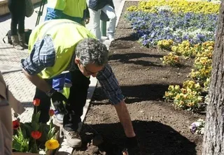 Mantenimiento de parques y jardines de la capital