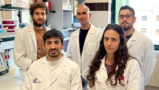 Microbiólogos de la USAL desvelan el papel ecológico de las bacterias asociadas al escarabajo más destructivo de bosques