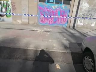 Paseo de los Robles (1)