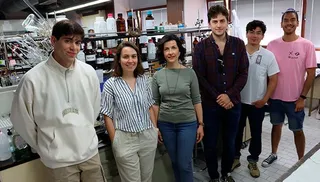 El proyecto del grupo ‘Diseño y síntesis de moléculas bioactivas (DYSBIO)’, liderado por la profesora Mª Concepción Pérez Melero, impulsa el uso de las proteínas kinesinas mitóticas como dianas para el desarrollo de nuevos fármacos antitumorales