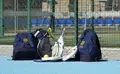 La Universidad Pontificia de Salamanca pone 56 becas a disposición de deportistas de alto nivel y rendimiento  | UPSA