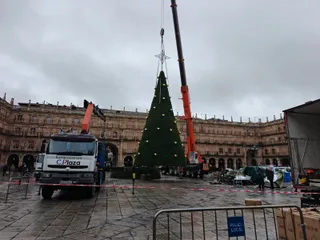 Desmontaje del árbol de la Navidad