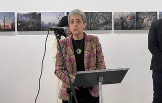 Exposición 'Transversalidades' en el Museo de Salamanca