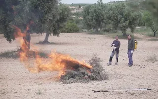 Quema de restos vegetales. Foto EP - Gobierno de Aragón