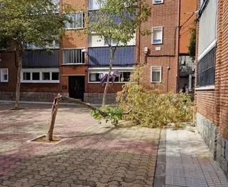 El viento ocasiona múltiples problemas en la capital. Foto de archivo