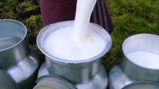 3 vasos de leche aportan 800 miligramos de calcio al organismo