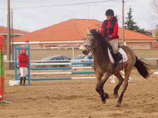 Liga Interclub Saltos (11)