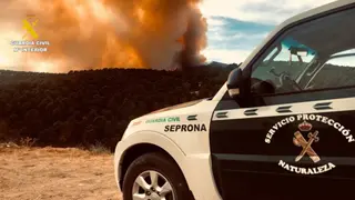 Un varón, investigado como presunto autor del incendio forestal ocurrido en Berrocal de Huebra - Guardia Civil de Salamanca