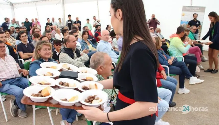 Degustación de porcino ibérico, angus, lojeña y cabra celtibérica en Salamaq