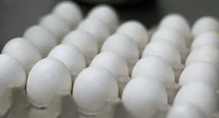 Sanidad aclara que por el momento en España no hay huevos contaminados por fipronil como en otros trece países
