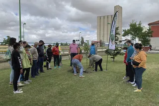 Una veintena de personas han colaborado con esta plantación de árboles del proyecto 'Plántate y planta un árbo'