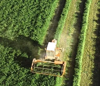 El Gobierno convoca una beca de formación en el ámbito de seguros agrarios