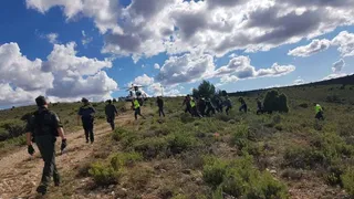 Rambo de Requena 1