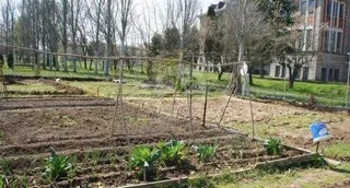 El Ayuntamiento abre el lunes la adjudicación de los huertos de ocio