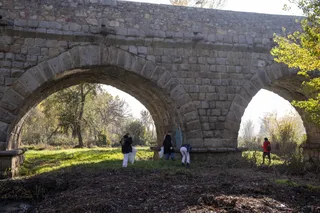Voluntarios