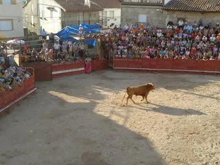Novillada valrubio (13)