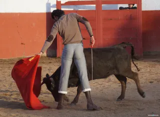 TENTADERO GANADERÍA JUAN LUIS FRAILE