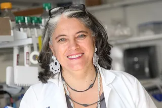 Ana Fernández-Sesma. Foto: Universidad de Alcalá