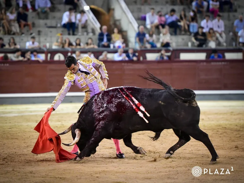 El novillero Pérez Pinto en Las Ventas con Correrías, el segundo novillo de su presentación