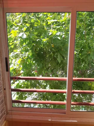 Árbol de la calle Castroverde desde el interior de la vivienda