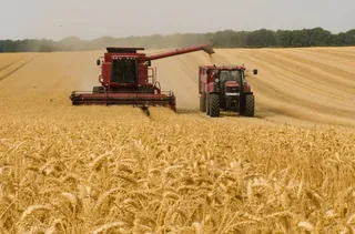 Agricultores. Foto EP