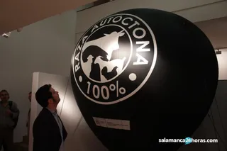 Exposición raza autóctona (8)