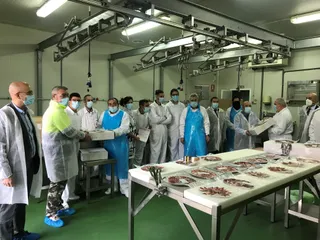 Curso de jamón