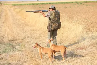 Un cazador durante la media veda en Castilla y León | JL Leal/ICAL