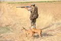 Un cazador durante la media veda en Castilla y León | JL Leal/ICAL