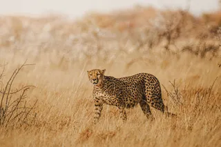 Namibia. Foto: Álvaro Valiente