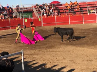 Novillada sin picadores en Villarino de los Aires