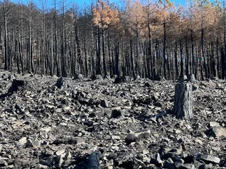 Restos del incendio Maíllo Serradilla del Arroyo. Foto S24H (16)