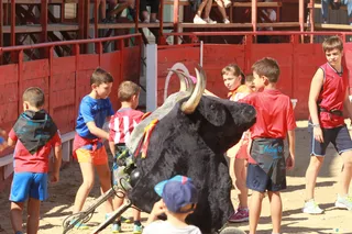 JOTA1033
