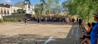 Partida de calva