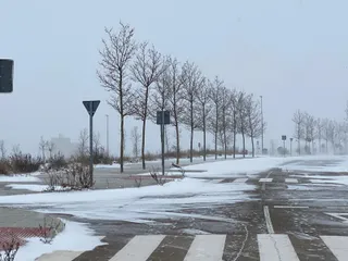 GALERÍA | Nieve en Salamanca: Los salmantinos salen a la calle, 9 de enero (IX)