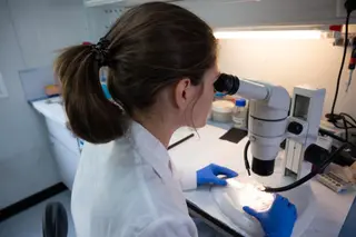 Imagen de recurso de un laboratorio del CSIC | EP
