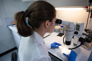Imagen de recurso de un laboratorio del CSIC | EP