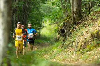 MARATHON VETON 151