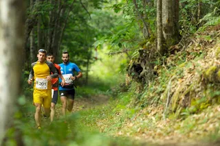 MARATHON VETON 151