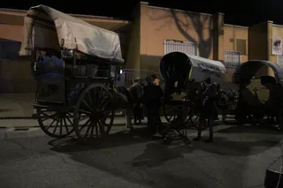 Matanza nocturna de Guijuelo