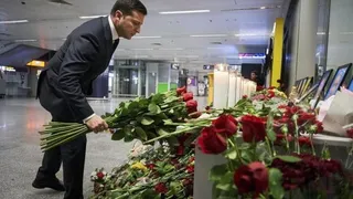 Flores avion